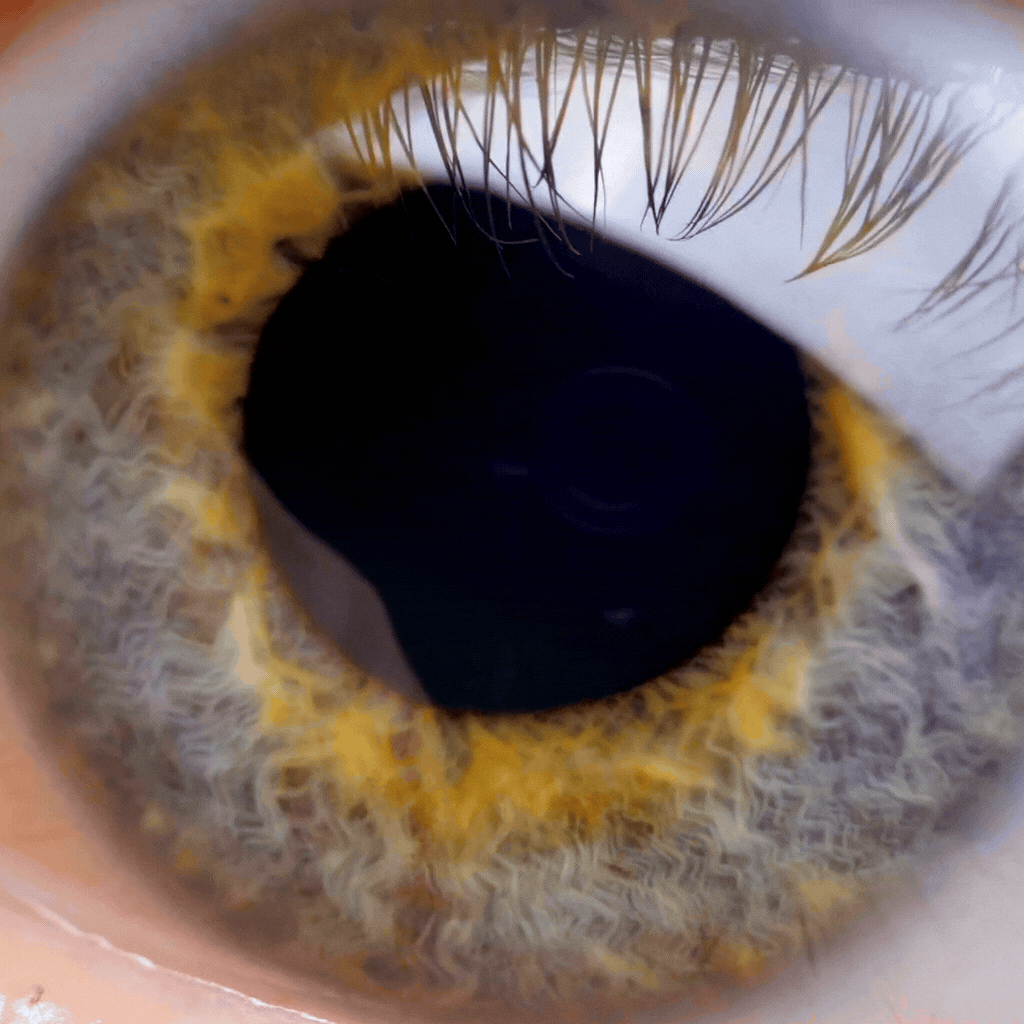 WAS UNSERE AUGEN ÜBER AUFMERKSAMKEIT UND STRESS VERRATEN