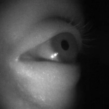 Real-Time Classification of the Vestibulo-Ocular Reflex in Naturalistic Conditions 