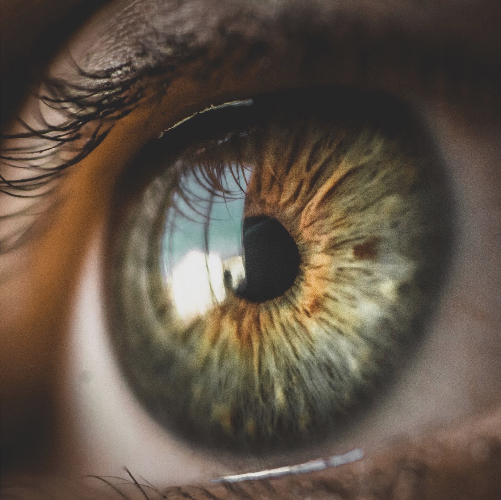 AUTO-CALIBRATION AND ONE-POINT CALIBRATION IN THE VPS 19 SMART GLASSES